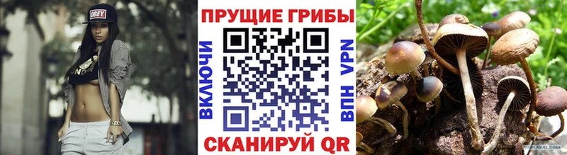 kraken маркетплейс  Волгодонск  Галлюциногенные грибы мицелий 