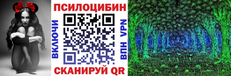 Галлюциногенные грибы Cubensis Волгодонск